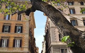 Vatican Near Sweet Home Terrace